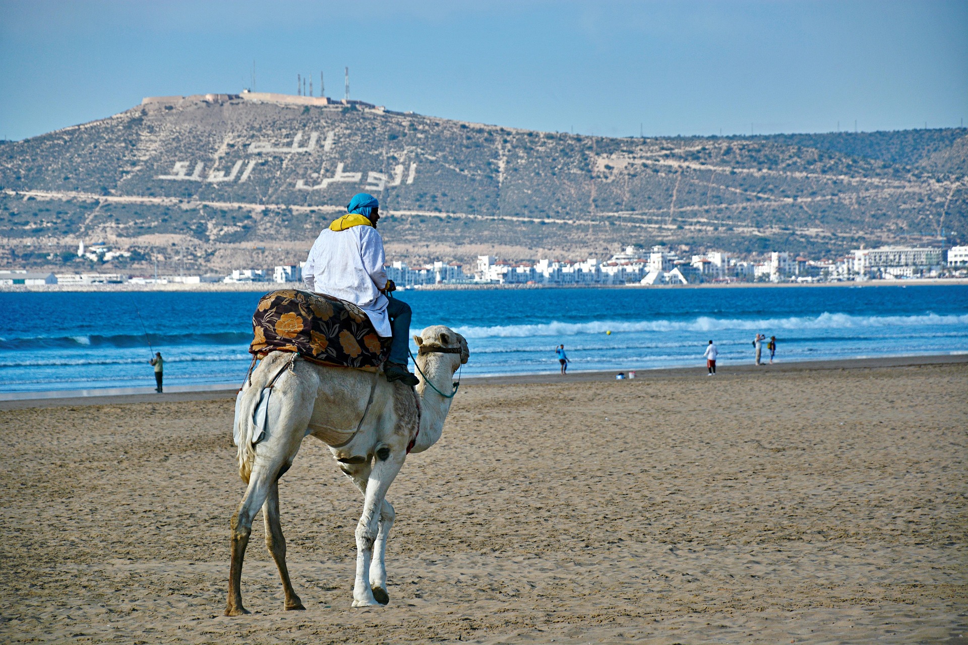 CAMEL OR HORSE RIDING + SUNSET + BBQ