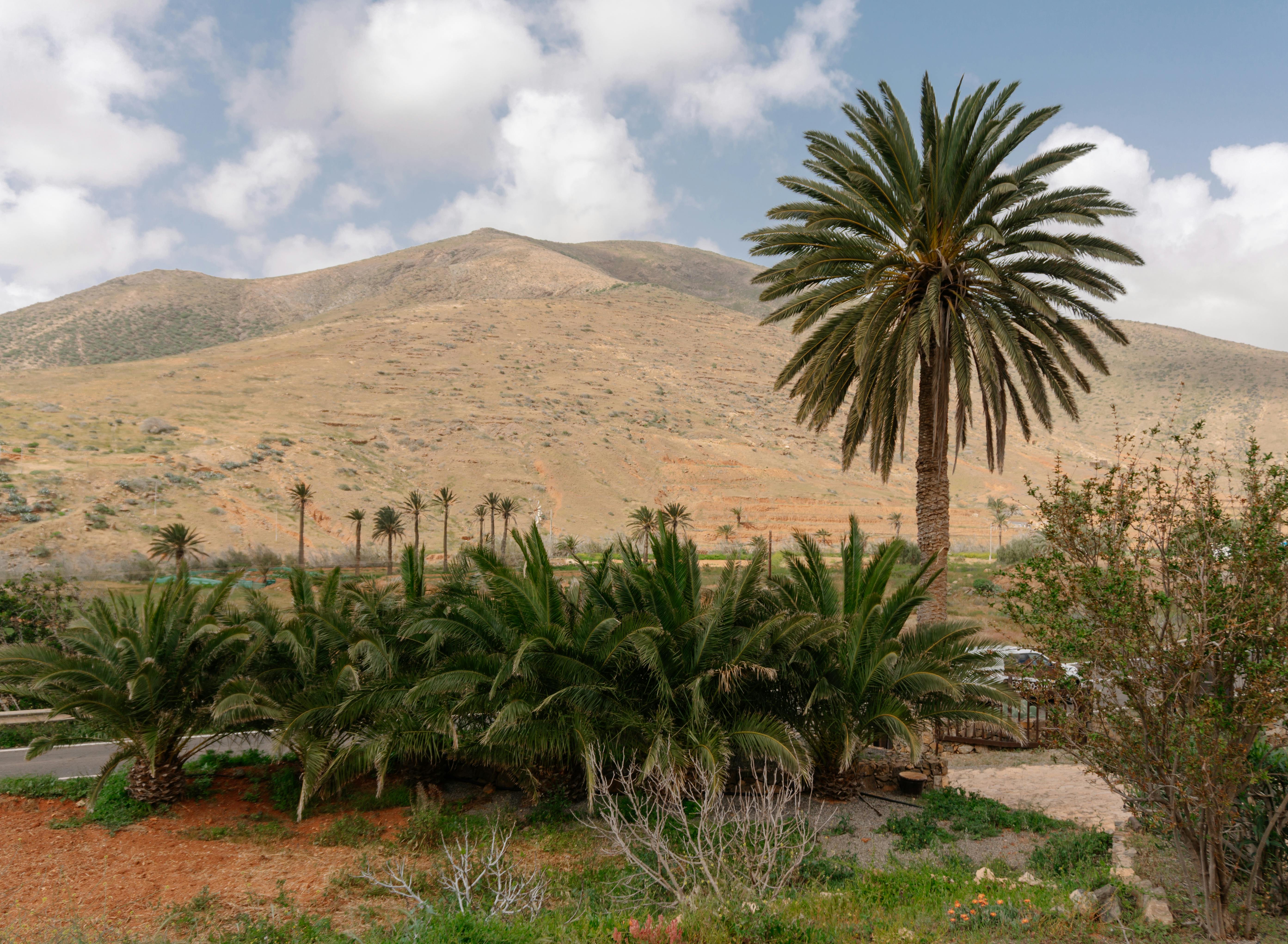 Atlas Mountains Adventure